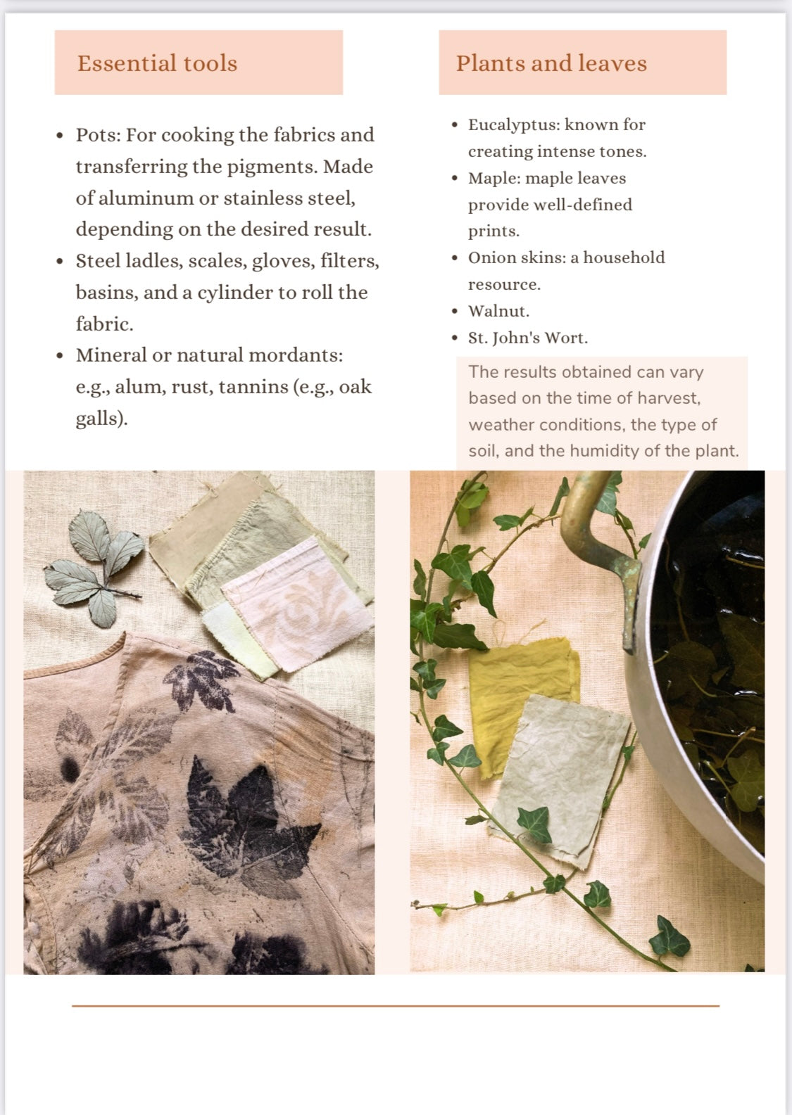 Beginner's guide for ecoprinting -PDF