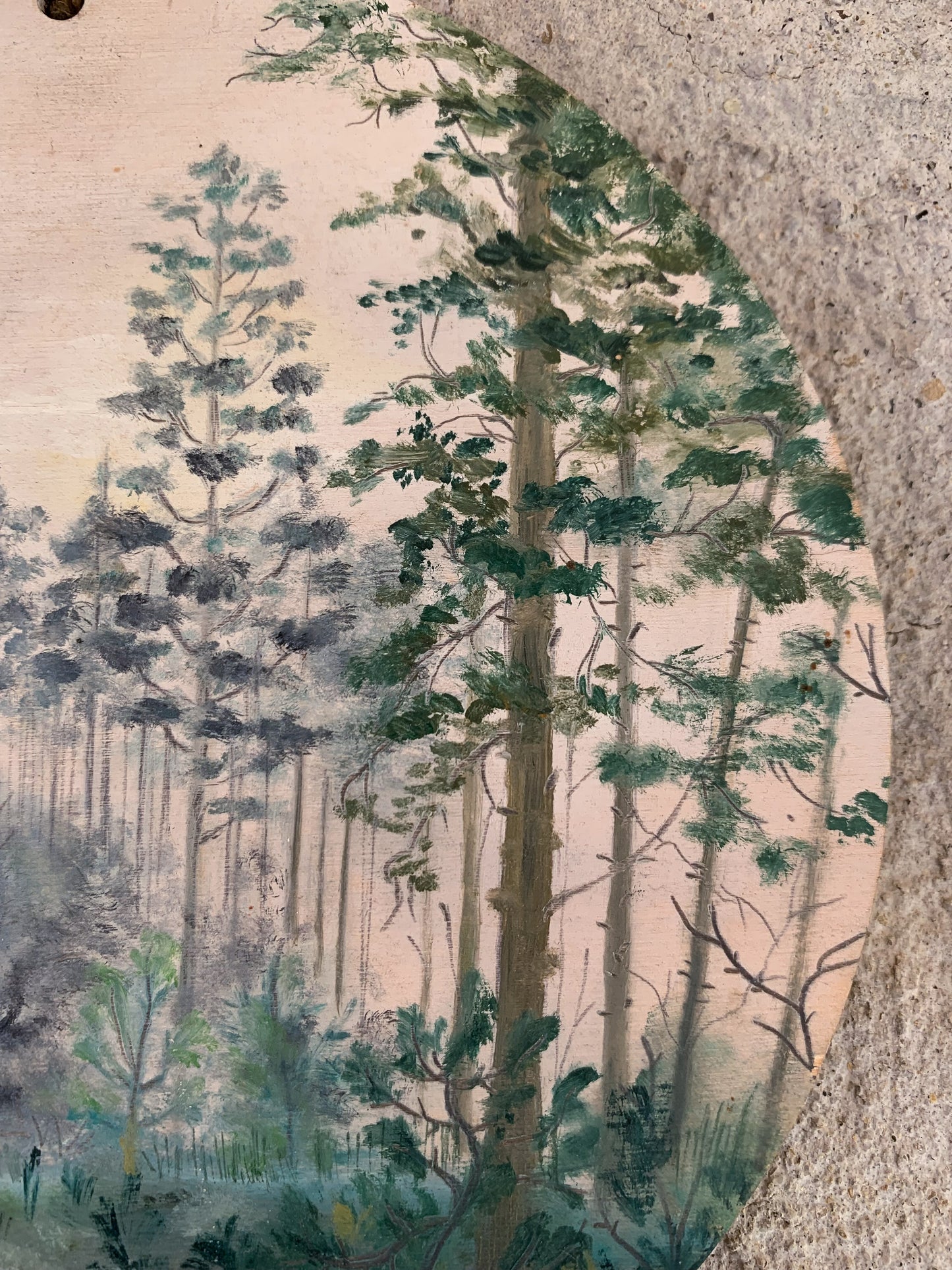 Dawn in the forest