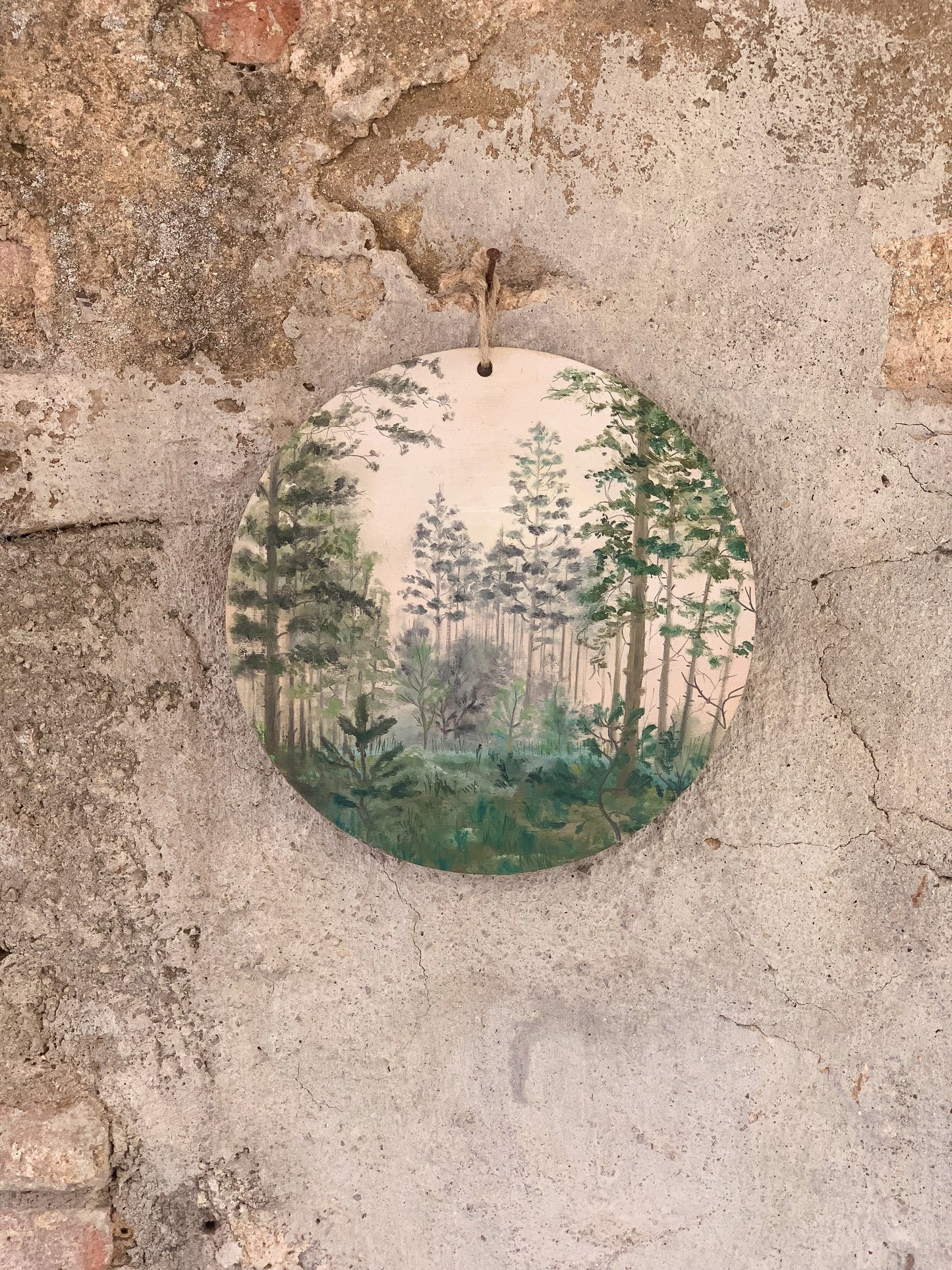 Dawn in the forest