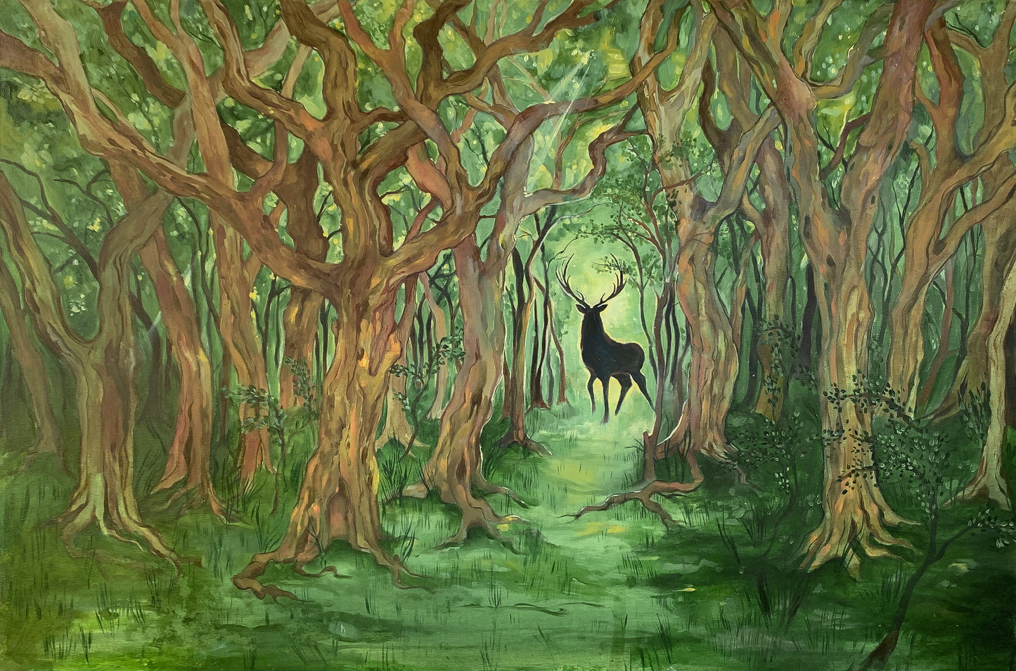 Wild land