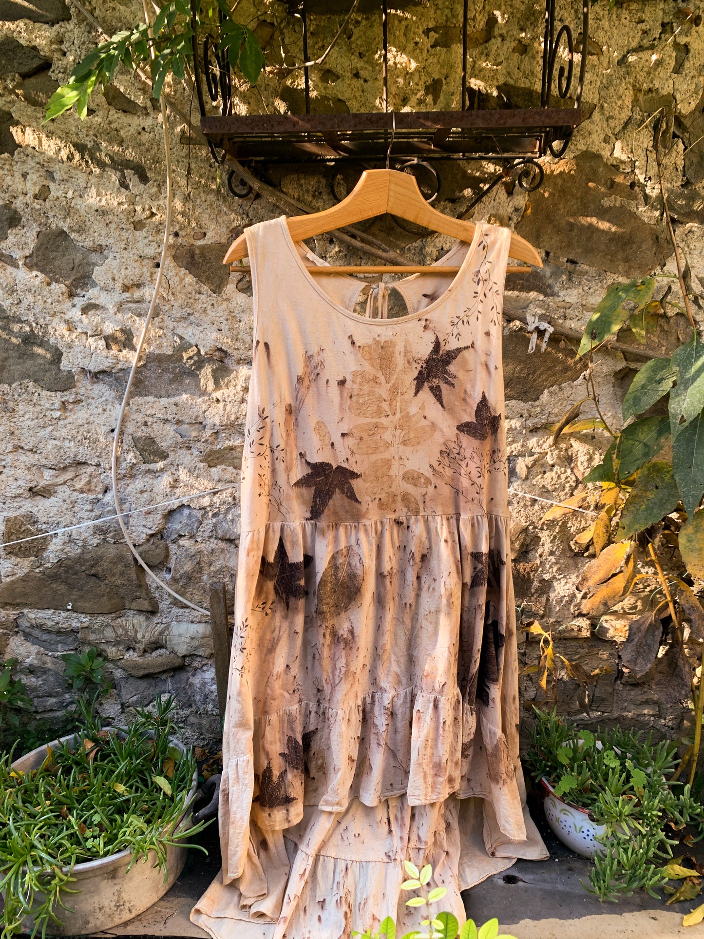 Brezza della foresta