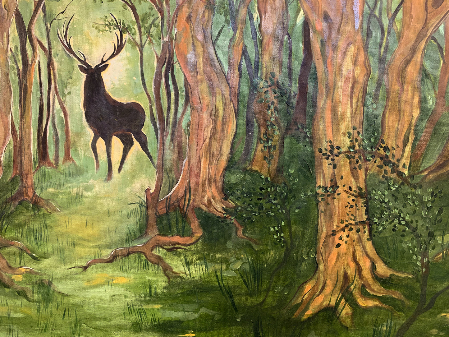 Wild land