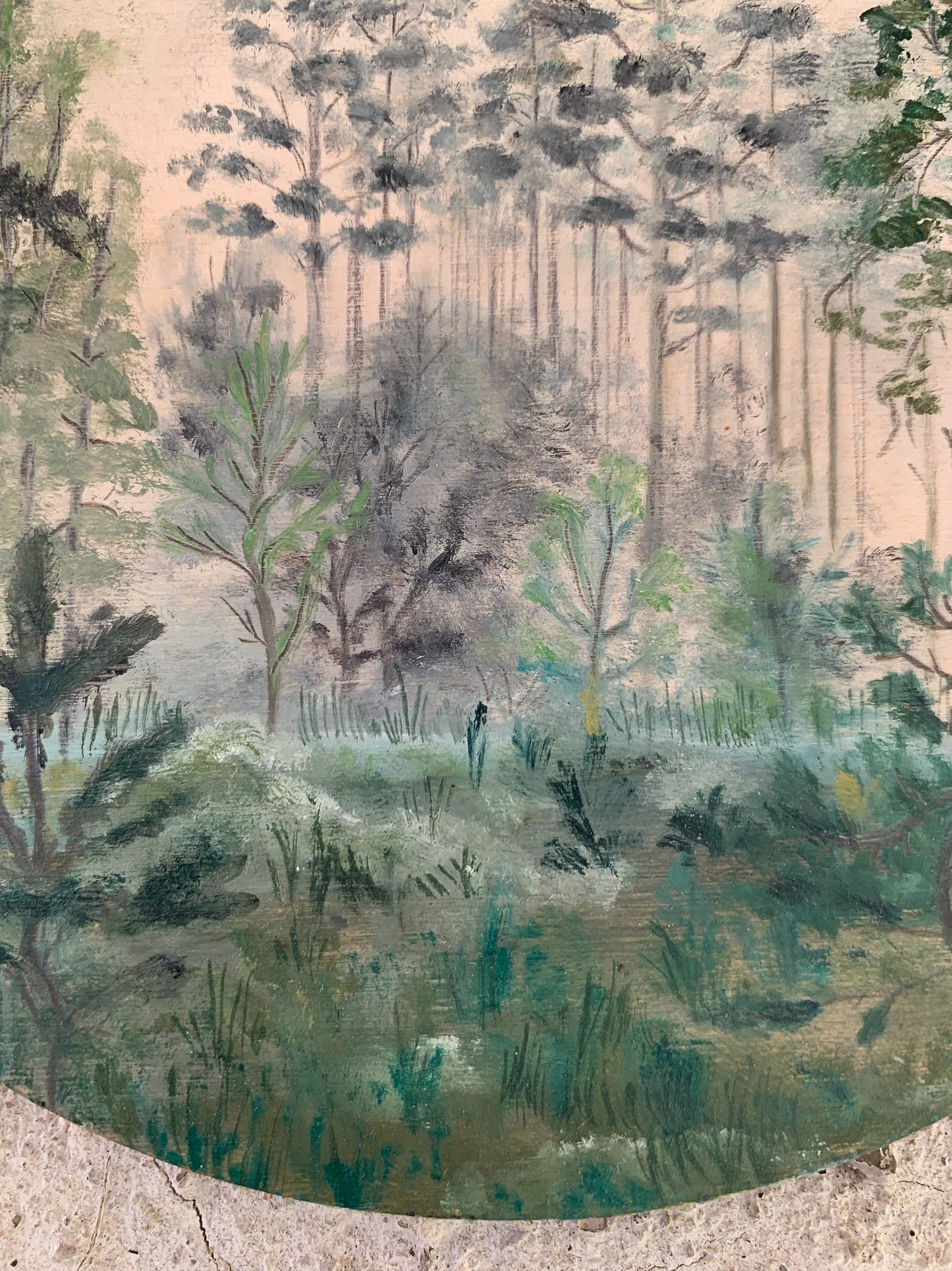 Dawn in the forest