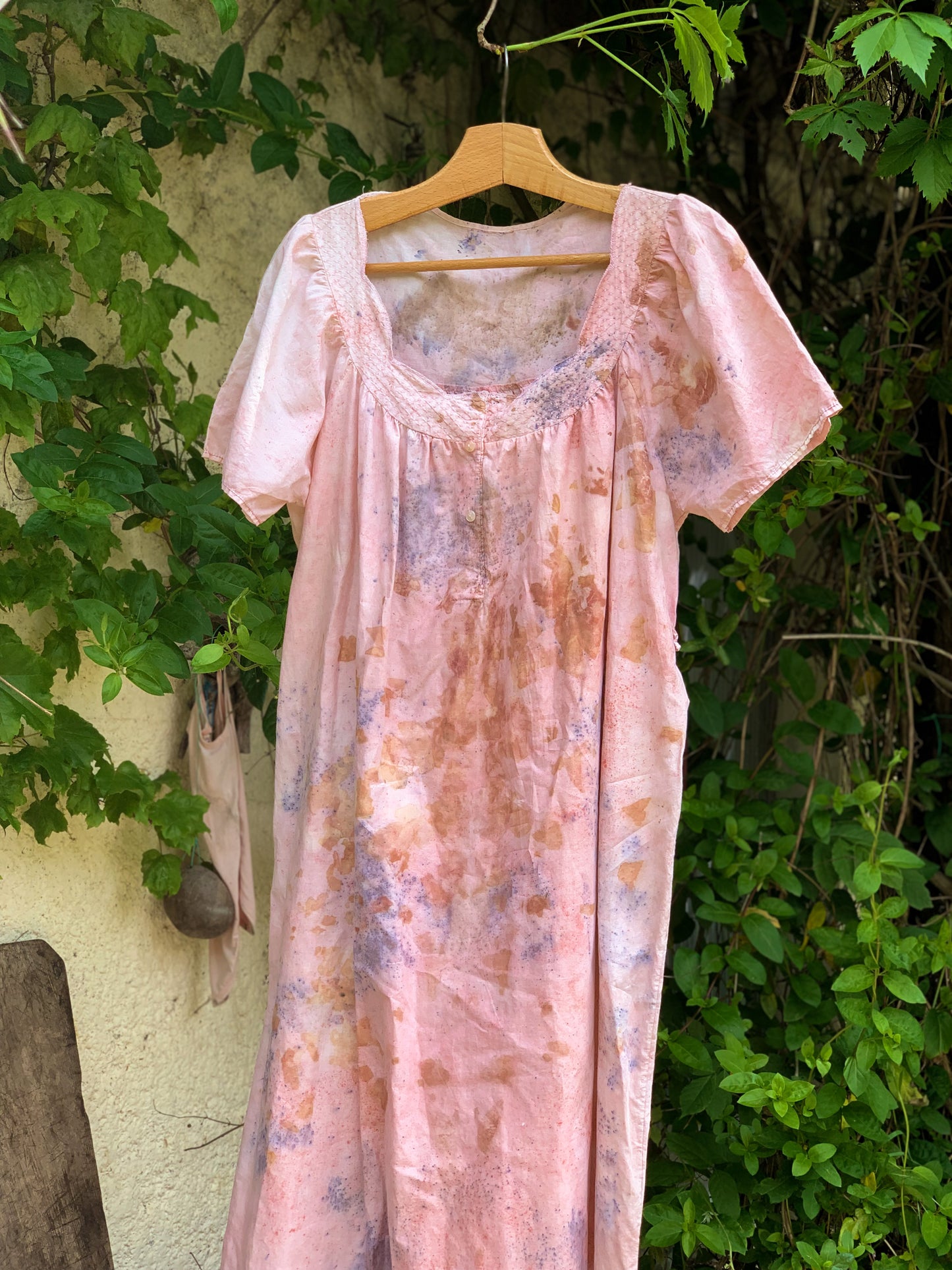 Spring flower