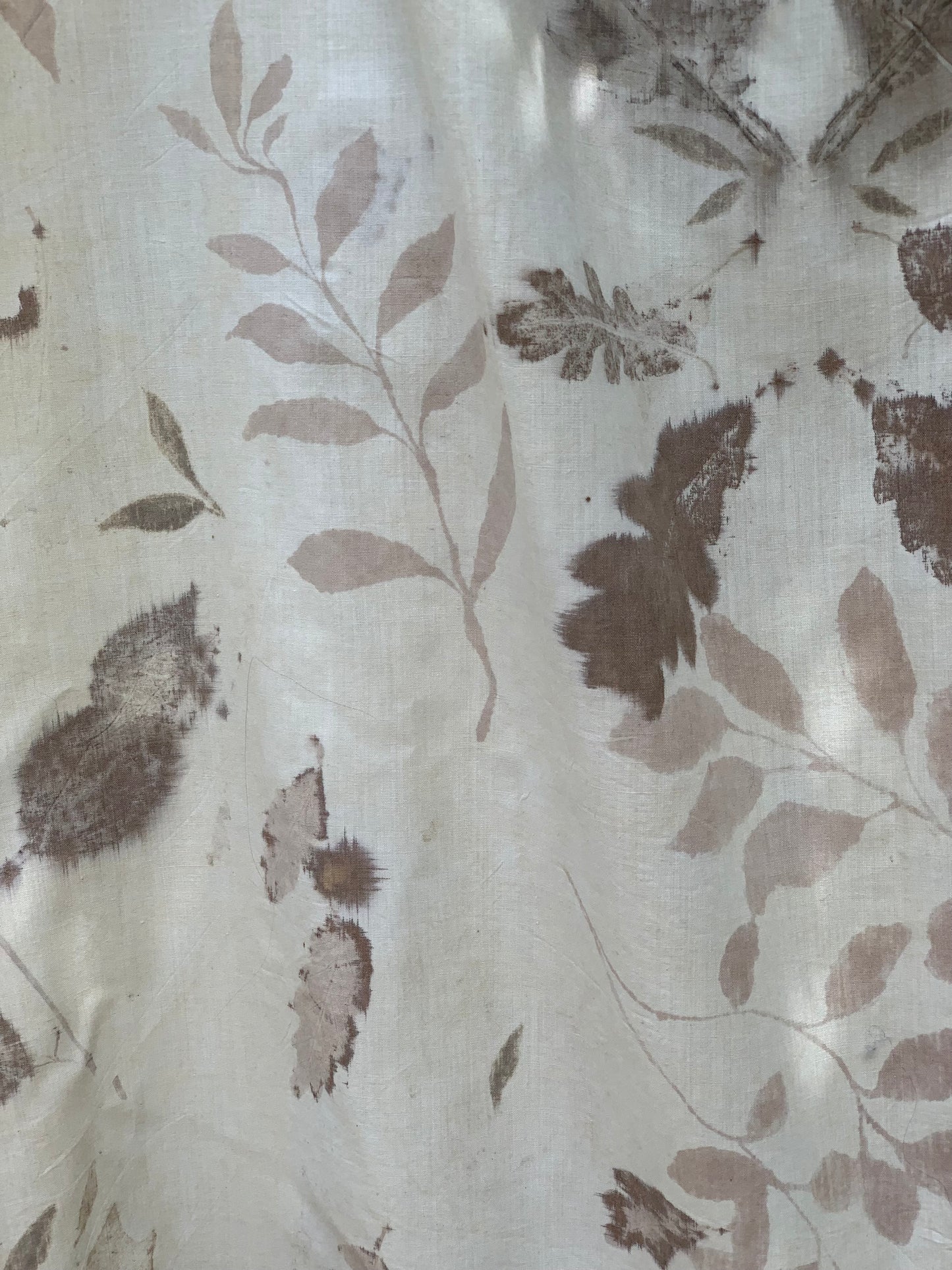 Oak and mugwort