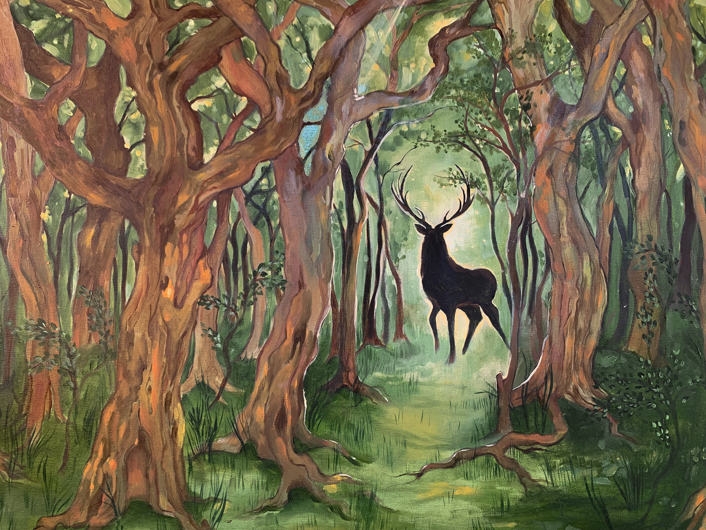 Wild land