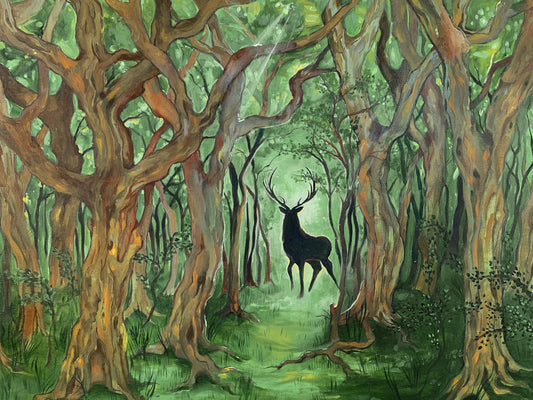 Wild land